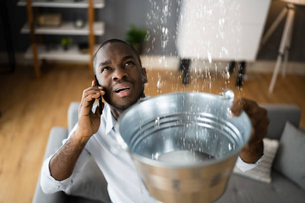 Best Flood restoration services  in Parsons, TN
