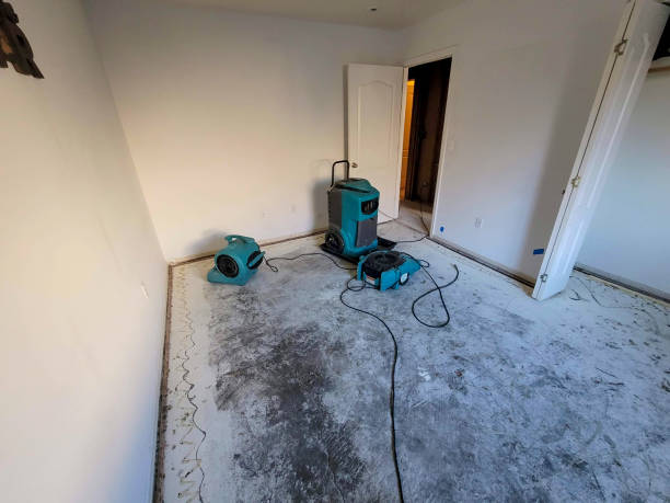 Best Water damage contractors near me  in Parsons, TN