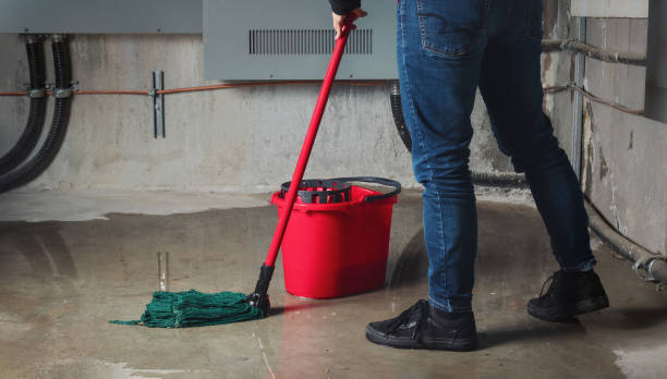 Best Residential water damage restoration  in Parsons, TN