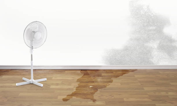 Water damage restoration experts in Parsons, TN