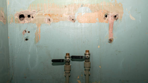 Best Professional water damage repair  in Parsons, TN