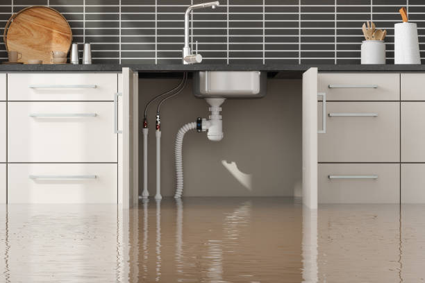 Best Water damage restoration near me  in Parsons, TN