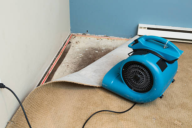 Best Carpet water damage restoration  in Parsons, TN