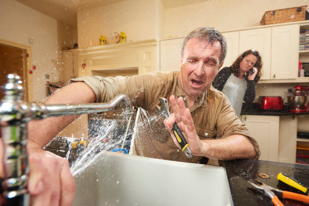 Best Mold removal after water damage  in Parsons, TN